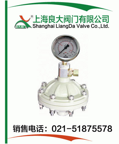 PP、PVDF脈沖阻尼器